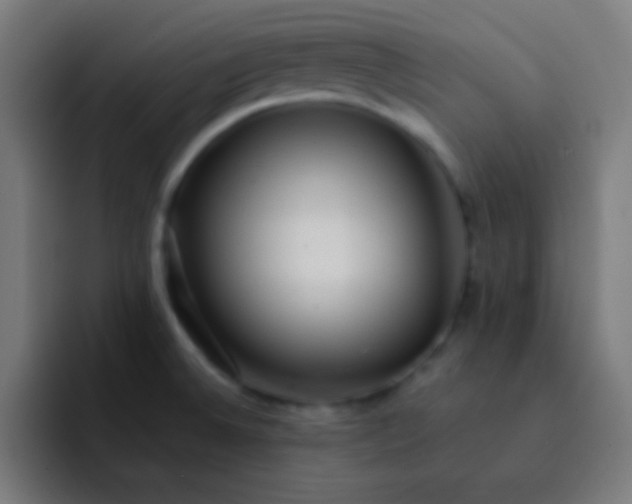X0000093241524200710101413