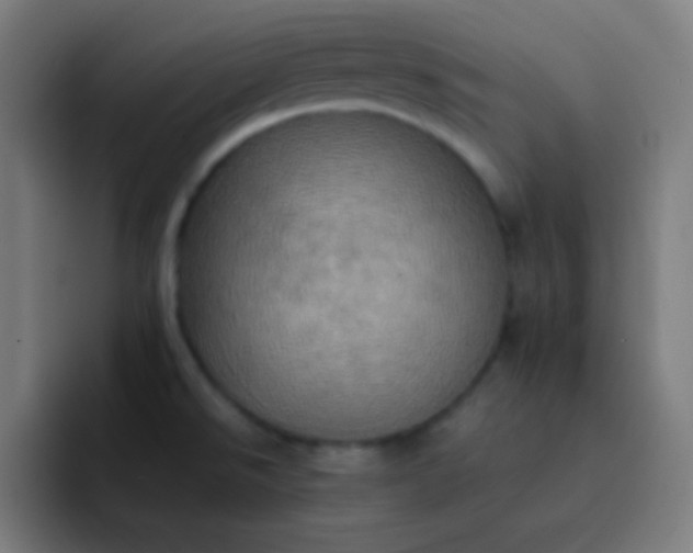 X0000093241526200710101413