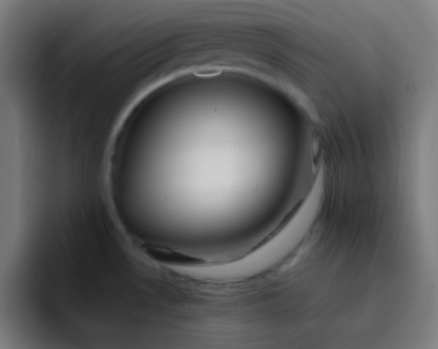 X0000093241530200710101413