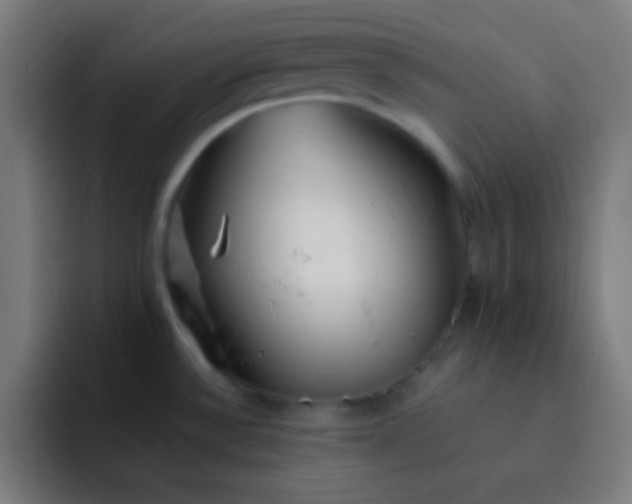 X0000093241532200710101413