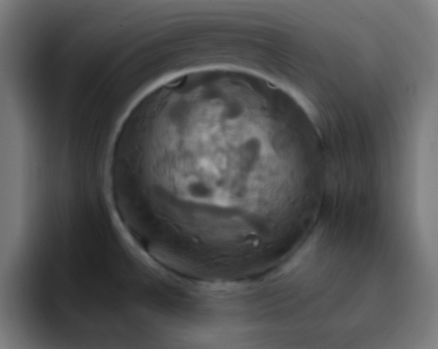 X0000093241534200710101413