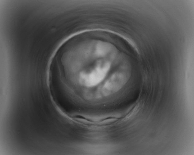 X0000093241535200710101413