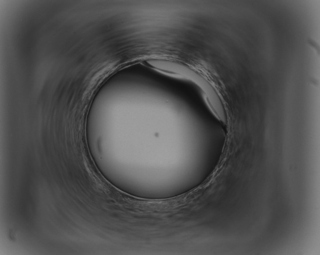 X0000093240001200710171451