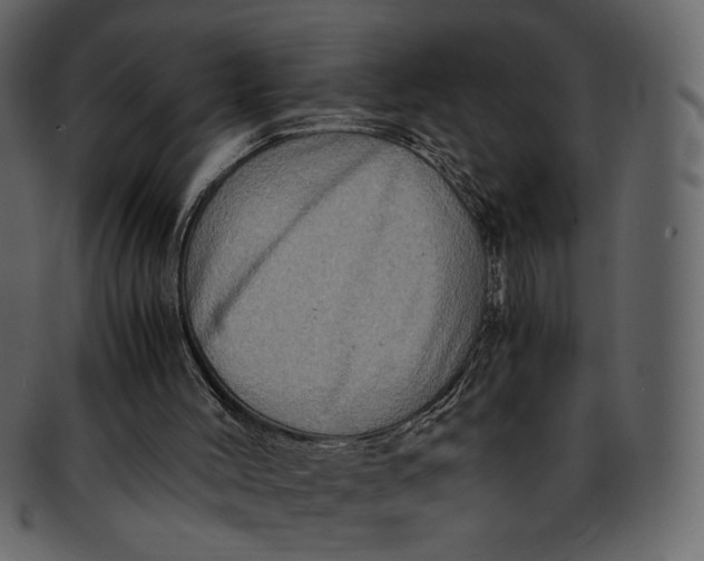 X0000093240004200710171451