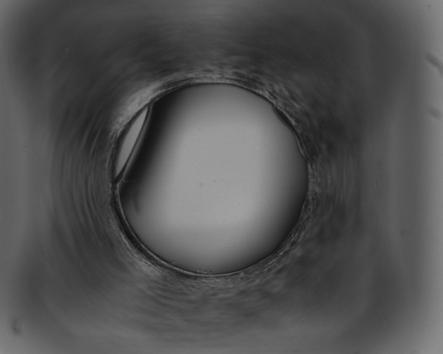 X0000093240005200710171451