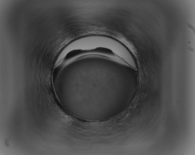 X0000093240009200710171451