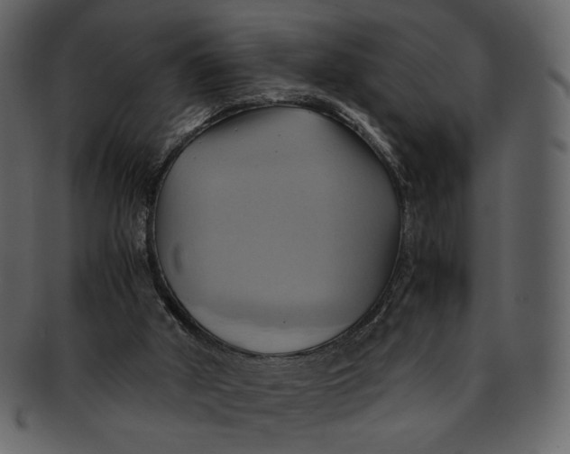 X0000093240010200710171451