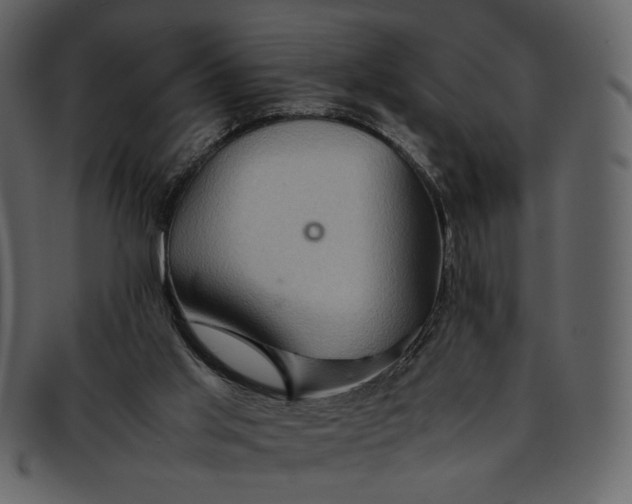 X0000093240013200710171451