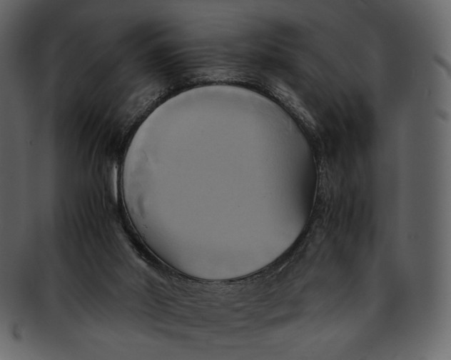 X0000093240014200710171451