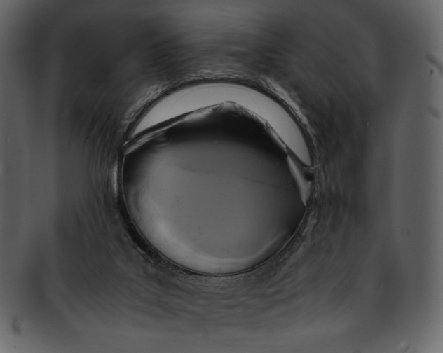 X0000093240019200710171451