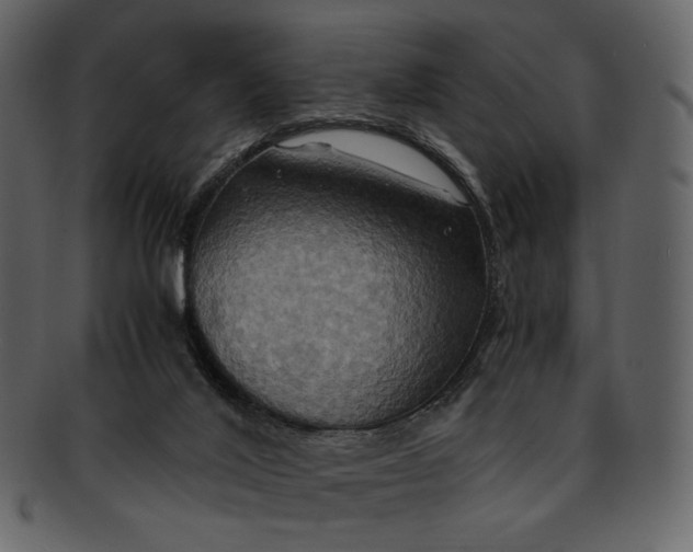 X0000093240020200710171451