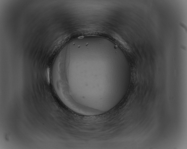 X0000093240022200710171451