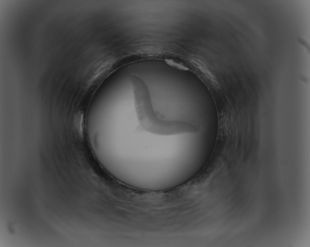 X0000093240024200710171451