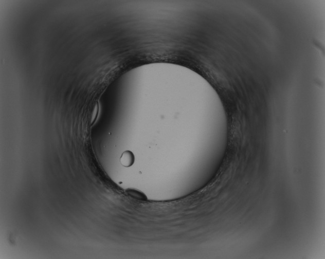 X0000093240025200710171451