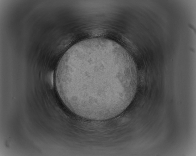 X0000093240028200710171451