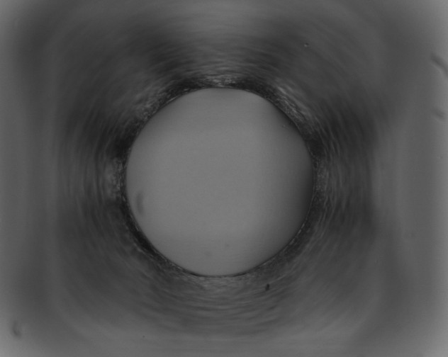 X0000093240030200710171451