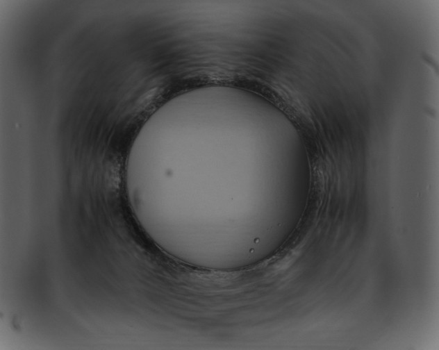 X0000093240032200710171451