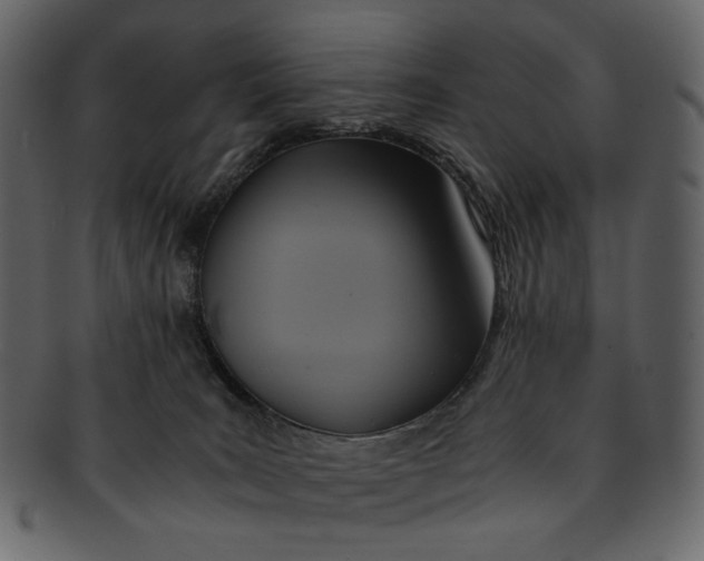 X0000093240035200710171451