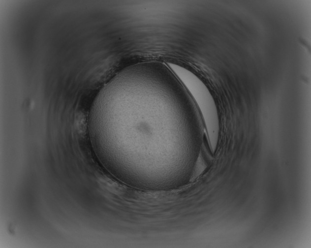 X0000093240037200710171450