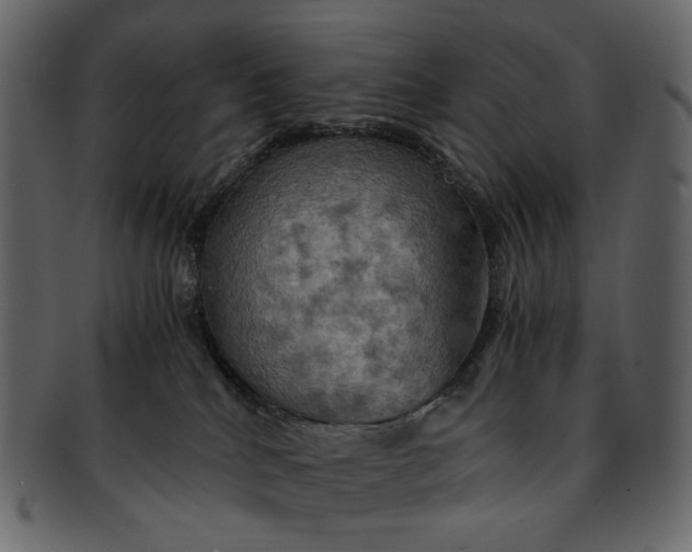 X0000093240040200710171450