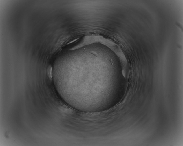 X0000093240041200710171450