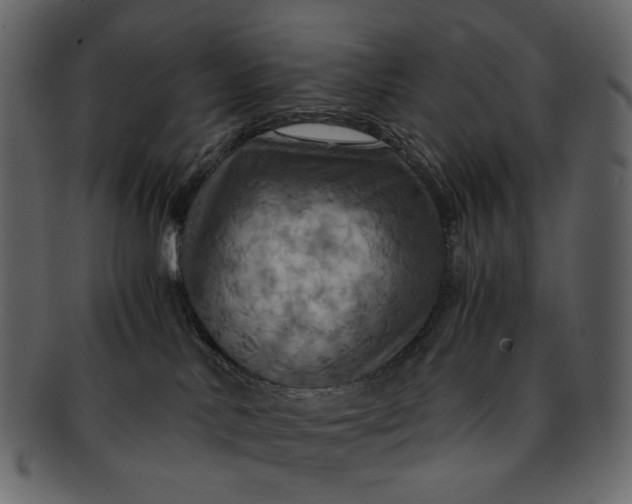 X0000093240042200710171450