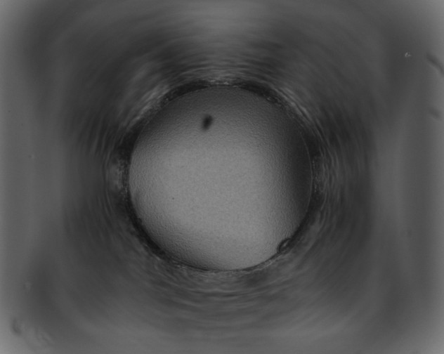 X0000093240044200710171450