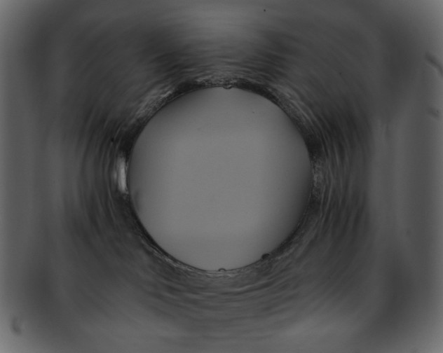 X0000093240046200710171450