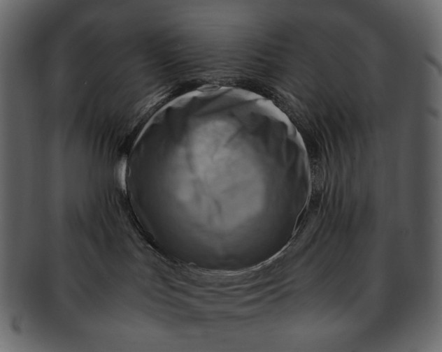 X0000093240047200710171450