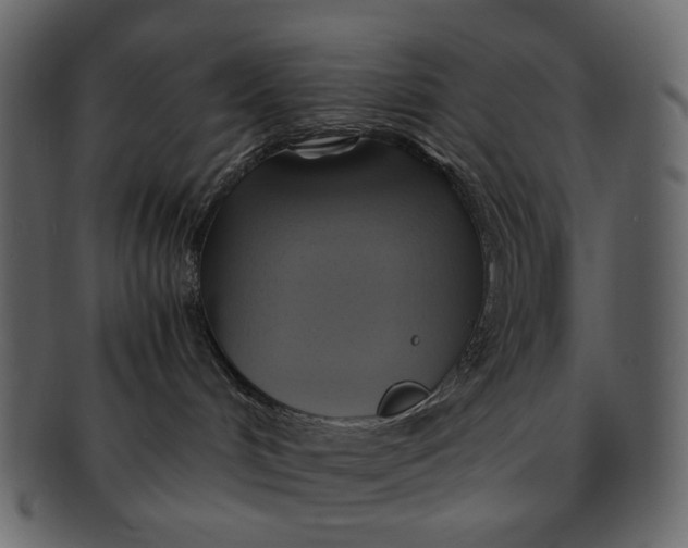 X0000093240048200710171450