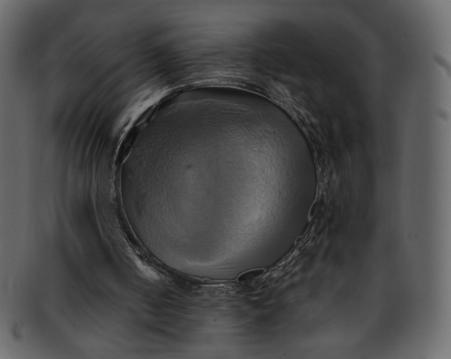 X0000093240050200710171450