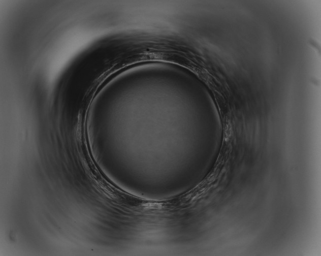 X0000093240052200710171450