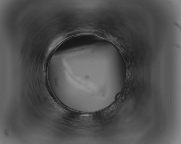 X0000093240053200710171450