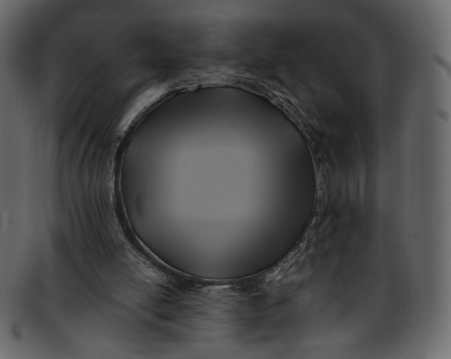 X0000093240054200710171450