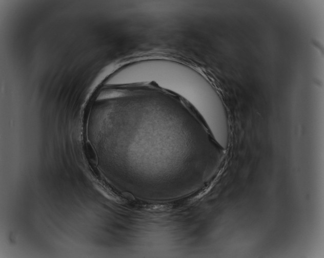 X0000093240056200710171450