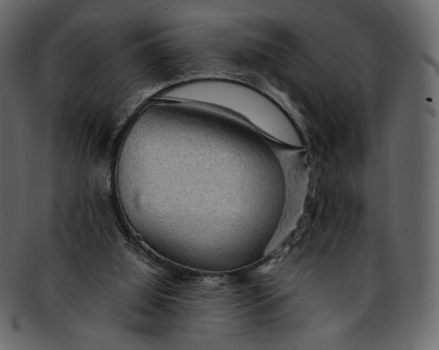 X0000093240060200710171450