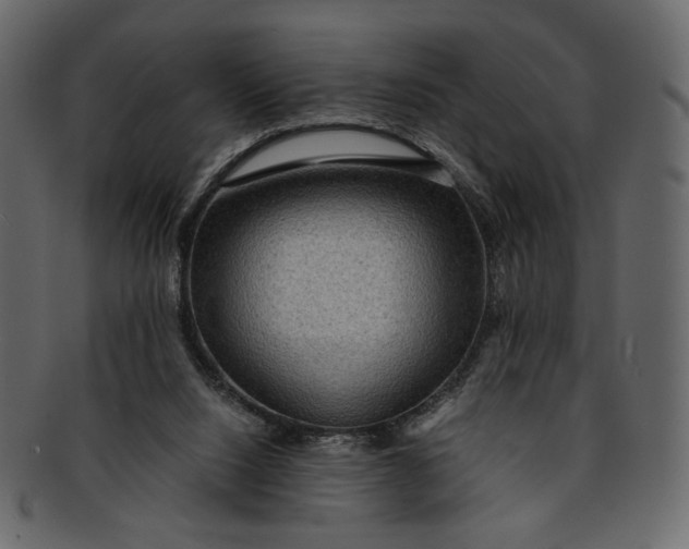 X0000093240064200710171450