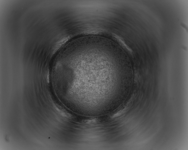 X0000093240068200710171450