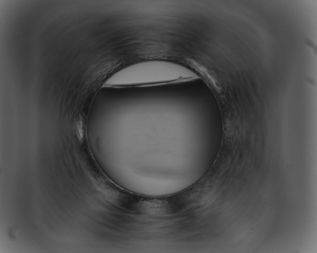 X0000093240069200710171450