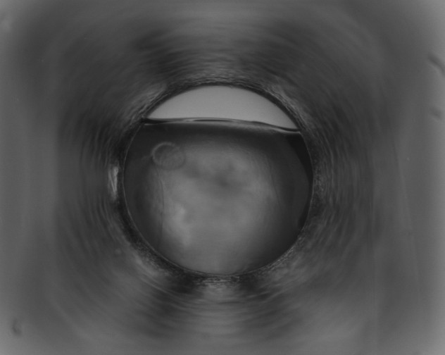 X0000093240070200710171450