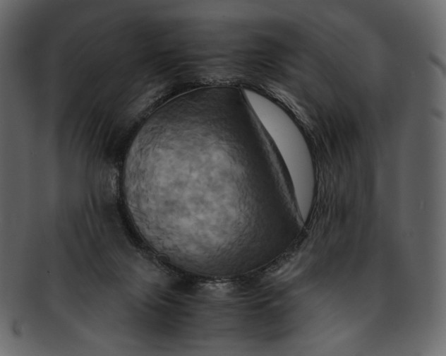 X0000093240071200710171450