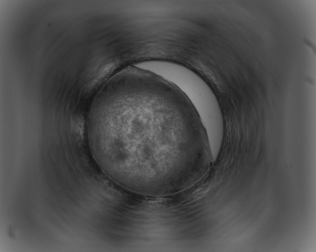 X0000093240072200710171450