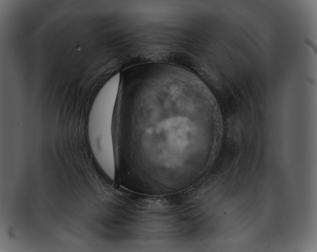 X0000093240073200710171450