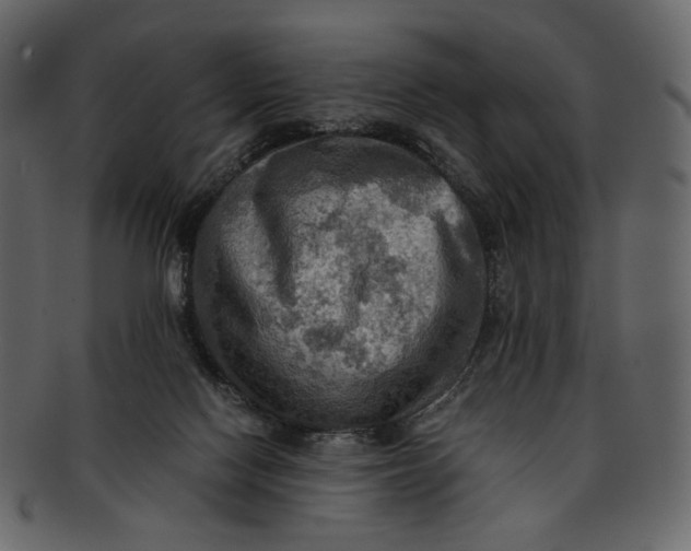 X0000093240074200710171450