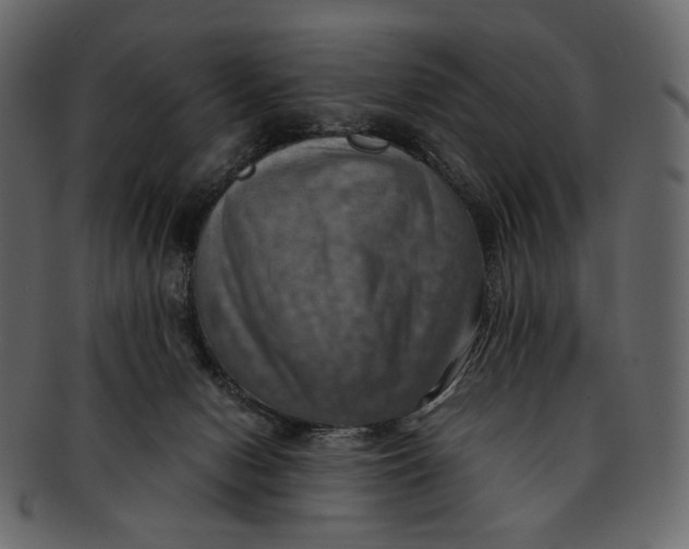 X0000093240078200710171450