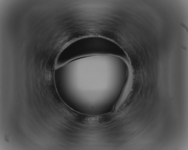 X0000093240084200710171450