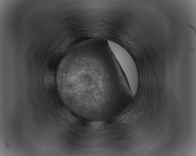 X0000093240085200710171450