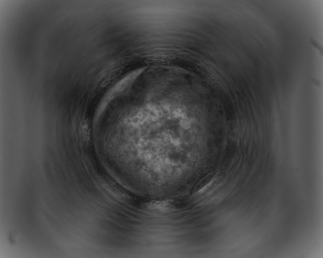 X0000093240086200710171450