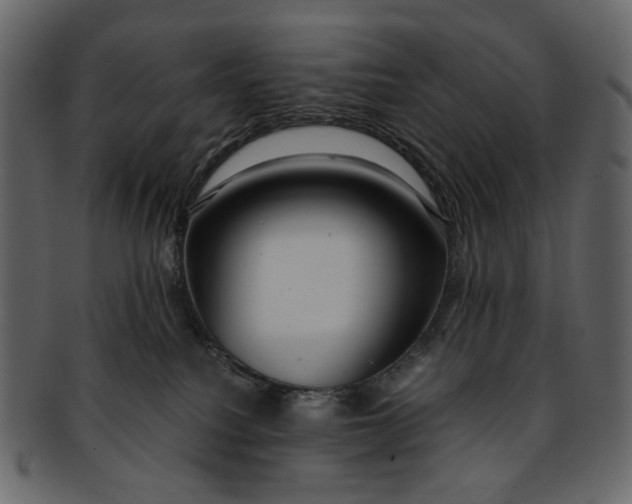 X0000093240088200710171450