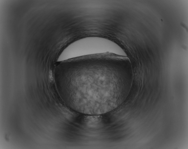 X0000093240089200710171450